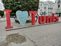 On the Move in Tunis