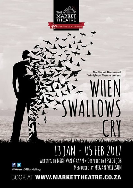 When Swallows Cry image.jpg